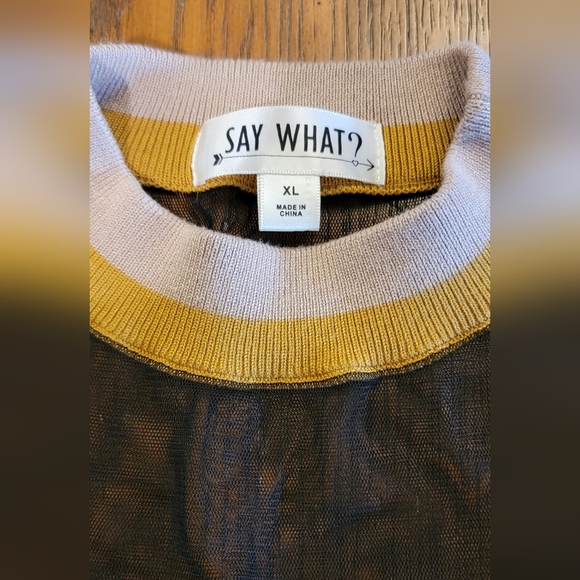 Say What? Mesh Accent Sweater Dress - Size XL - Picture 5 of 5